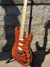 redwood strat 2.jpg - 